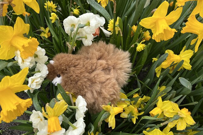 Tulip Paradise: Keukenhof Half-Day Private Tour - Practical Aspects and Considerations