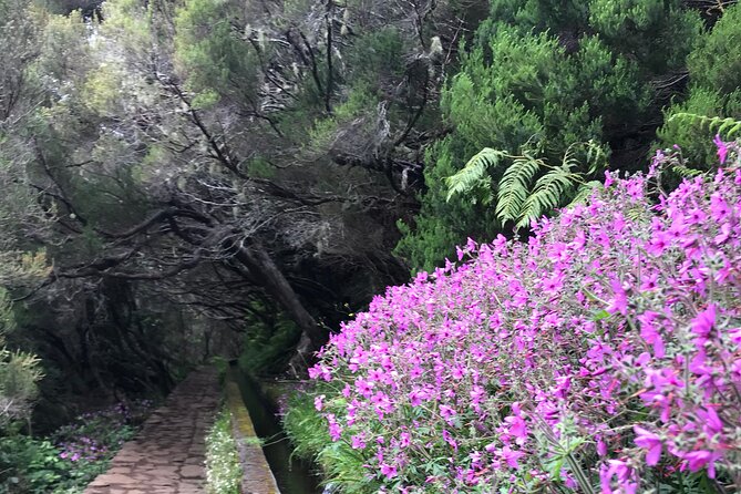 Twenty-Five Fountains Levada walks (private) - Who Will Love This Tour?