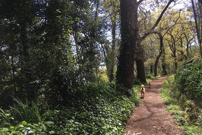 Vale Paraiso - Paradise Valley Walk - FAQ