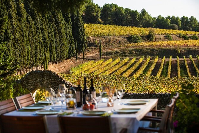Valpolicella Wine and Olive Oil Tasting with Lunch from Verona - Wine Tasting: From Classic to Legendary