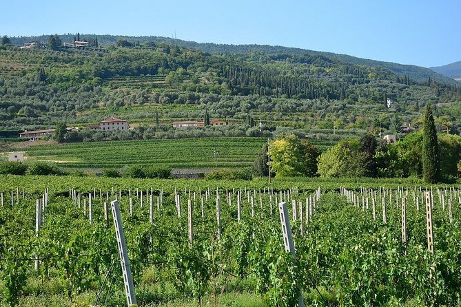 Verona and Amarone - FAQs