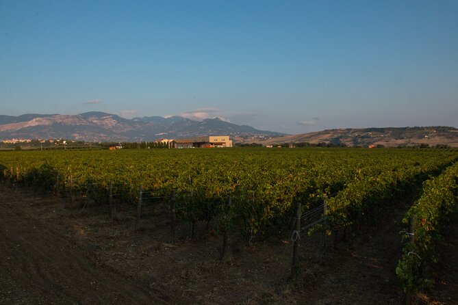 Visit and wine tasting 30 minutes from Pescara - Why This Tour Offers Real Value
