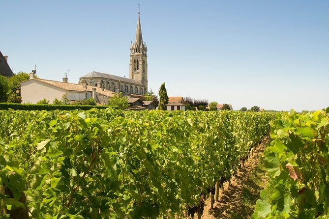 Visit Saint-Emilion and Pomerol:Vineyards, lunch and tastings included - FAQs