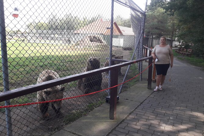 Visiting a Bear and Wolf Sanctuary - FAQ