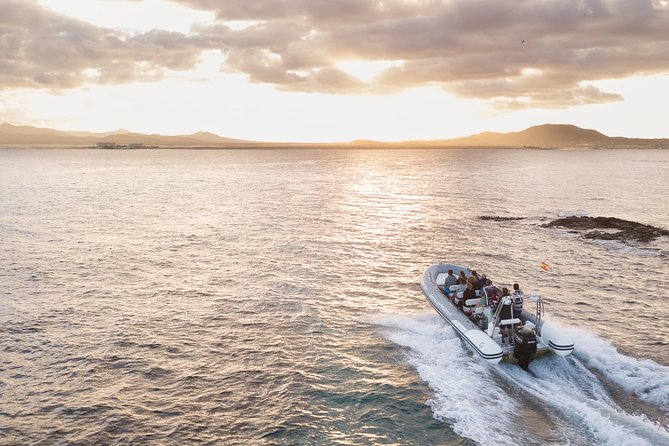 Water Taxi Lobos Island - Why This Tour Is Worth It
