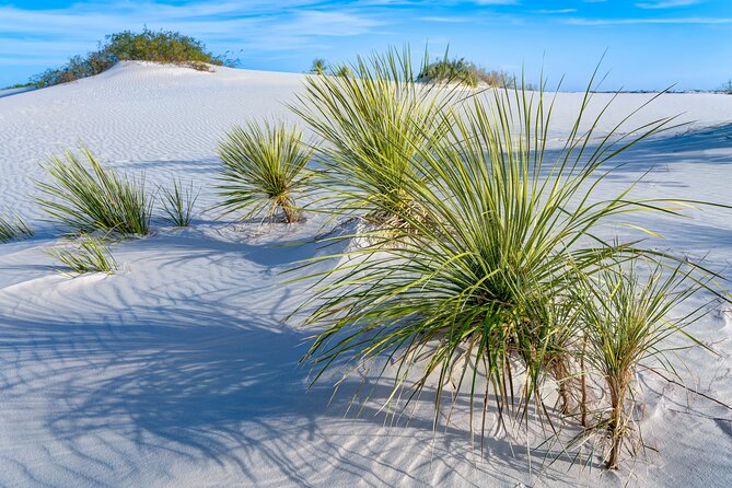 White Sands National Park Self-Guided Driving & Walking Tour - The Sum Up