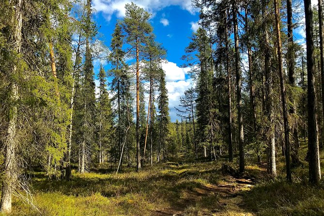 Wilderness Survival Tour - Summer & Autumn - The Sum Up  