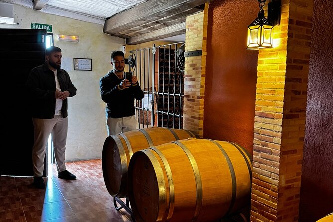 Wine and Tapas Tasting Tour from Alicante, Private Van - Who Should Consider This Tour?