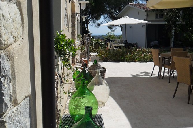 Wine is bottled poetry ,that's why I love Prosecco !! private Tour - FAQs