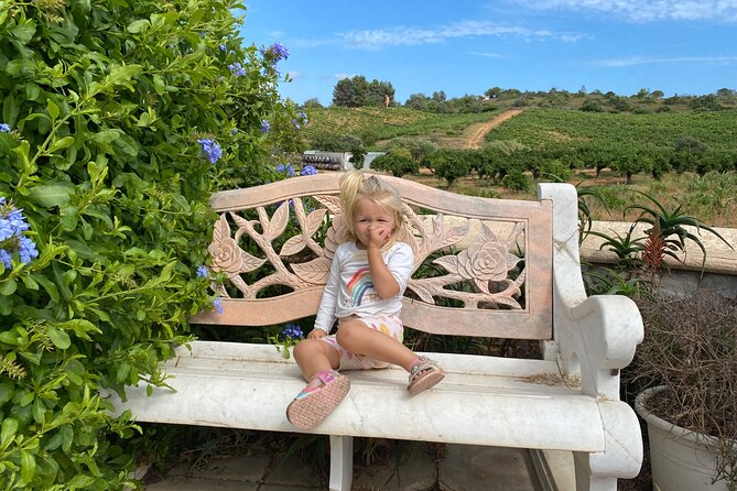Wine Not Algarve Winery Tour - Who Should Consider This Tour?