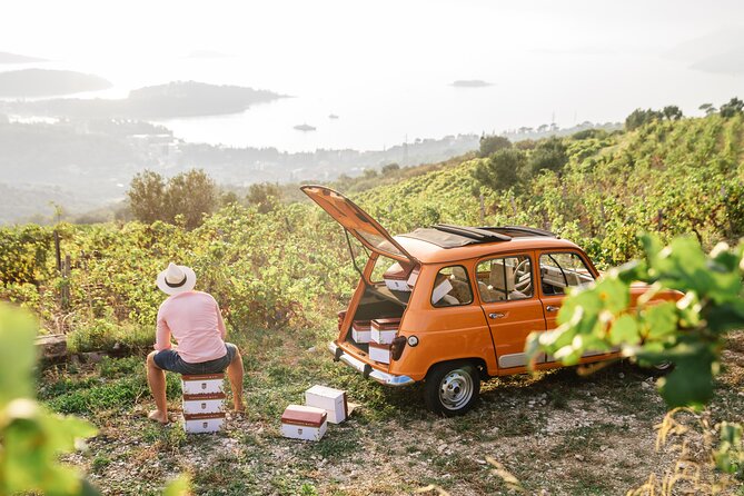 Wine Tasting in Konavle, Near Dubrovnik & Cavtat  Join Us! - Who Is This Tour Best For?