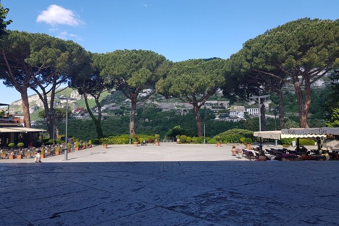 Wine tasting in the Vesuvius National Park - The Sum Up