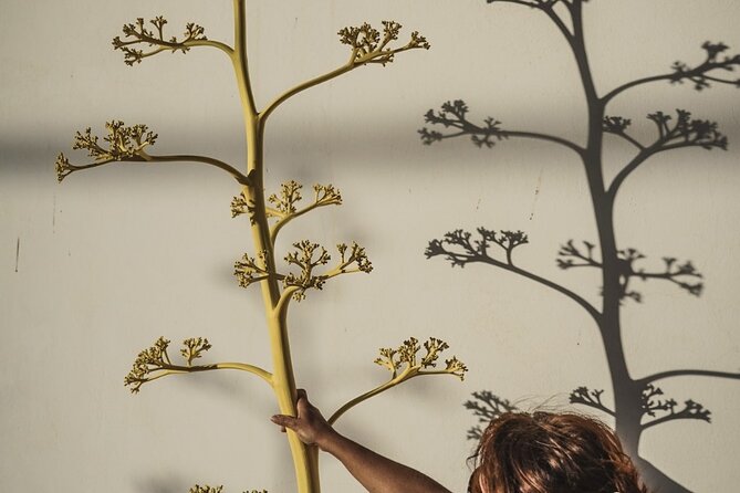Workshop with the Desert Craftsman in Almería - Frequently Asked Questions