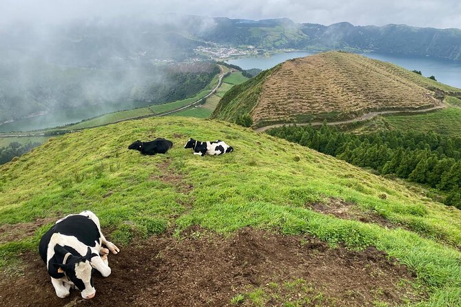 4x4 Half Day - Sete Cidades Tour - Discover the Charm of São Miguel with the 4x4 Half Day - Sete Cidades Tour