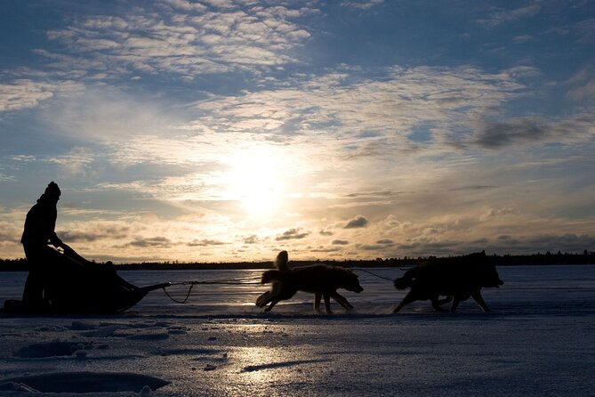 4hr Dog Sledding Tour under the Northern Lights - FAQ