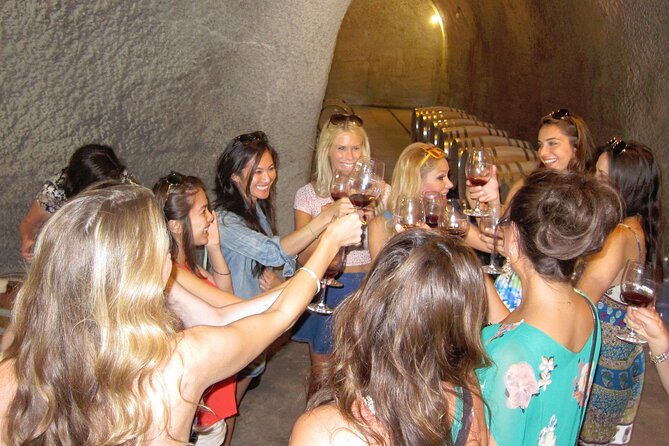 6-Hour Private Limousine Santa Barbara Wine Tour - Who is This Tour for?