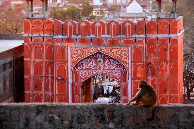7 Days India Tour from New York including Visa and flight - FAQs