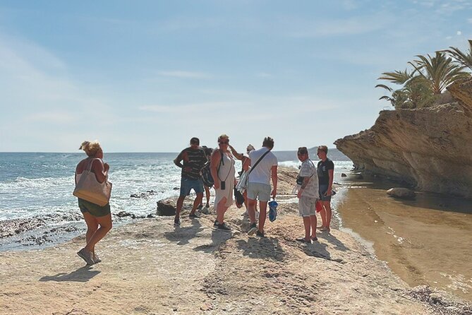 Alicante E-Bike Coast Tour with Román Fishpond and Snorkeling - Why This Tour Works Well for You