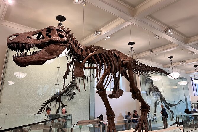 American Museum of Natural History and MOMA Combo Tickets - Frequently Asked Questions