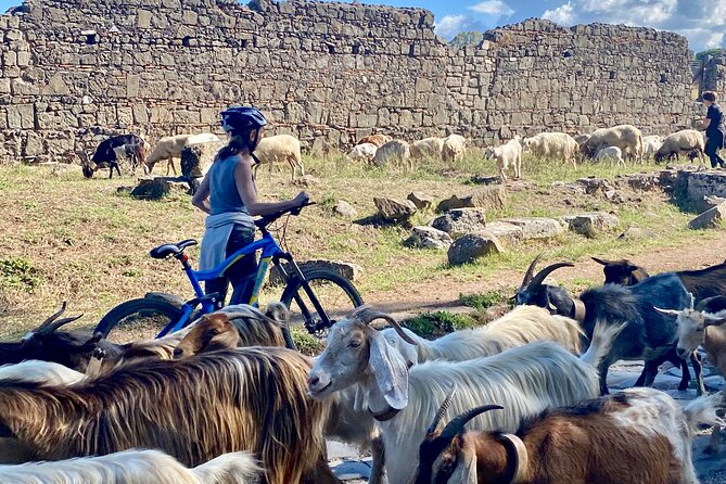 Appian Way on E-bike: Tour with Catacombs, Aqueducts and Food - FAQ