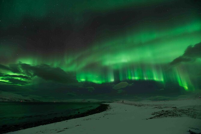 Aurora Hunt with Professional Photographer from Alta - Who Should Consider This Tour?