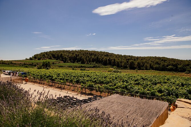 Barcelona Penedes Horseback Riding with Wine Tasting and Tapas - Final Thoughts