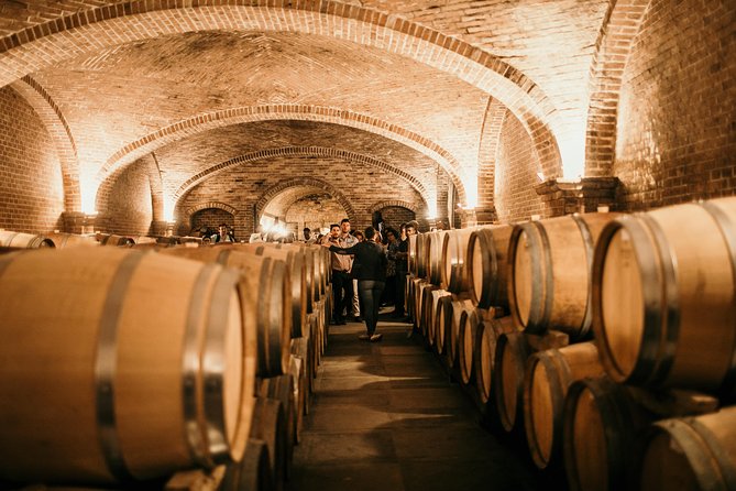 Barolo & Barbaresco Wine Tour with a Sommelier - Final Thoughts: Is This Tour Right for You?