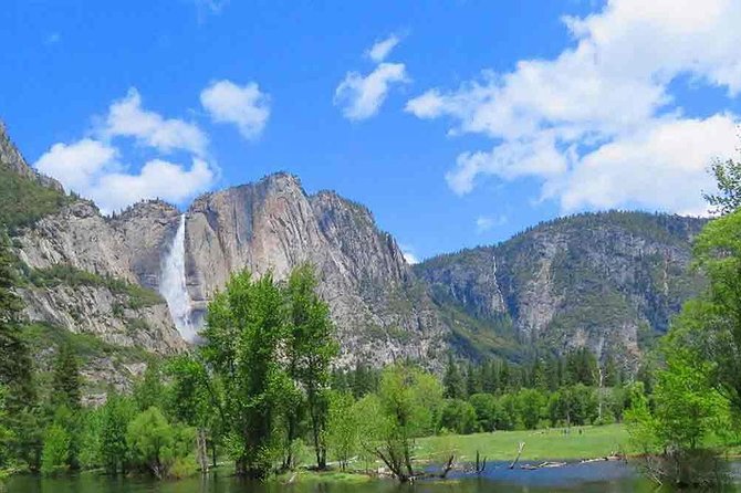 Best 1-Day Yosemite National Park Private Tour from San Francisco - FAQs