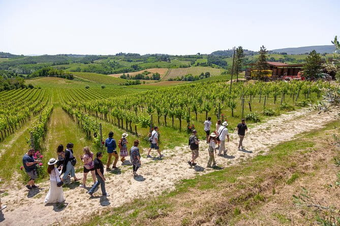 Best of Pisa, Lucca, Volterra: Small Group Tour from Florence - FAQ