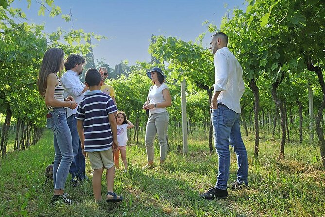 Biodynamic Farm and Natural Wines Tasting in Lazise - FAQ
