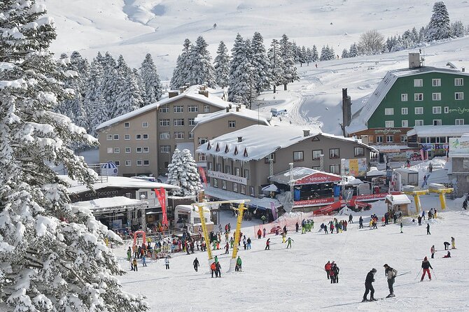 Bursa Uluda Mountain Tour & Cable Car Ride from Istanbul - The Sum Up