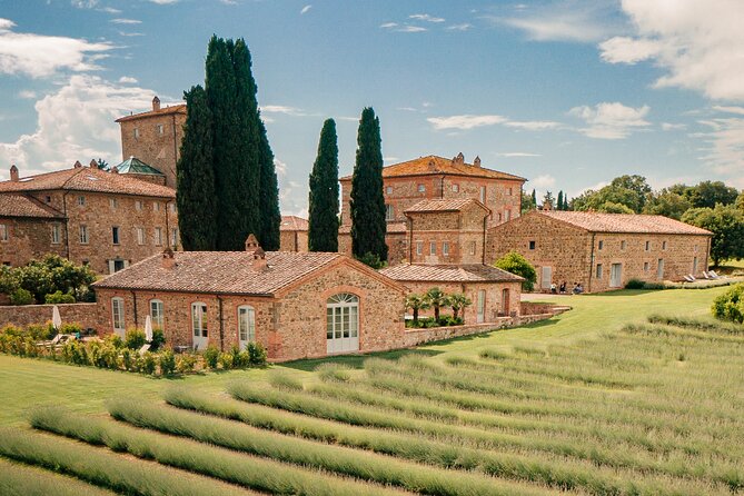 By Ebike: Visit an Art Park and Wine Taste in the Classic Chianti - The Film Connection and the Vineyard Experience