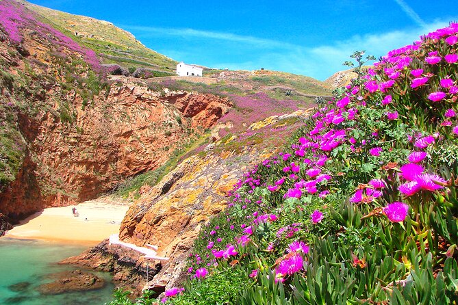 Catamaran trip to Berlengas Island + visit to the caves - FAQ