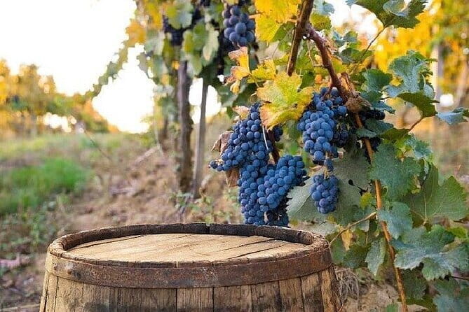Chianti, San Gimignano and Siena Full Day Trip with Wine Tastings - Frequently Asked Questions