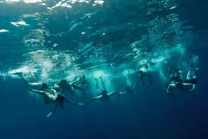Comino Guided Snorkeling Experience - Final Thoughts