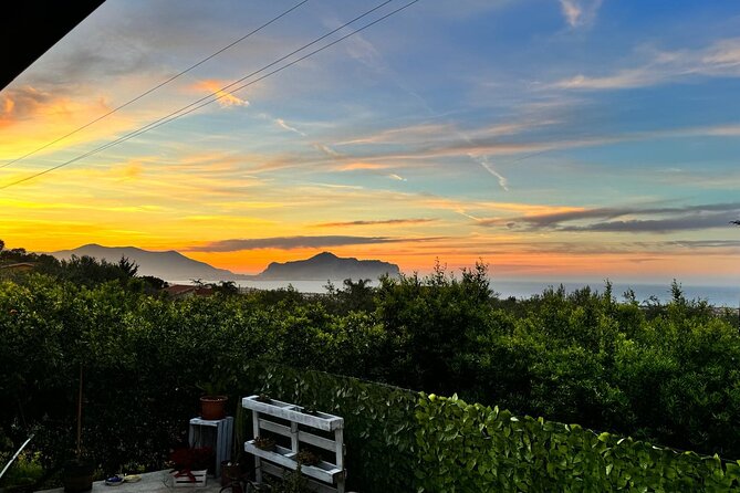 Cooking class in a villa with Palermo view - Frequently Asked Questions