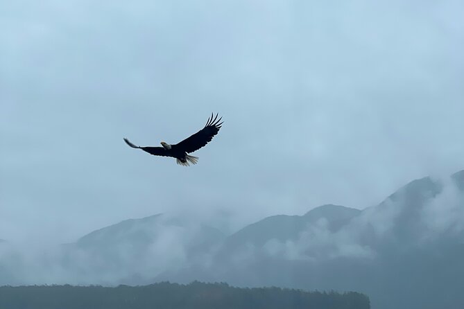 Custom Tour In Ketchikan - Who Would Love This Tour?
