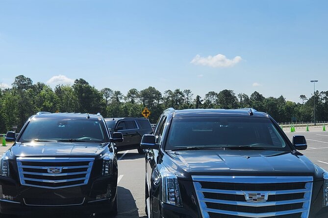 Disney Hotels Private Van Transfer to/from Orlando Intl Airport - The Vehicle and Service Quality