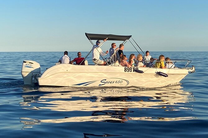 Dolphin Sunrise Adventure with Speedboat - Who Will Love This Tour?