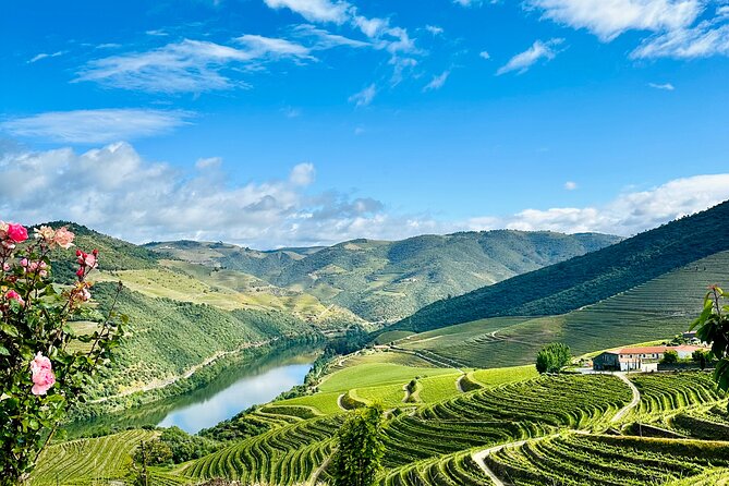 Douro Valley private tour includes wine tasting and boat trip - The Sum Up