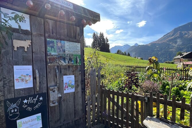 Easy countryside tour in Swiss Alps - kids friendly - Why This Tour Makes Sense
