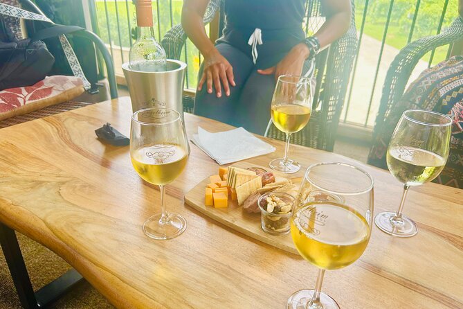 Elijay Three Vineyards Private Wine Tasting Tour from Atlanta - Final Thoughts: Is It Worth It?