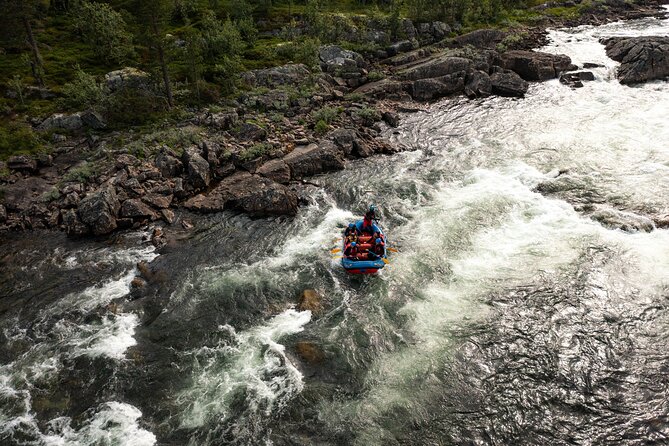 Family-Friendly Whitewater Rafting Experience - level 1 - Why This Tour Offers Great Value