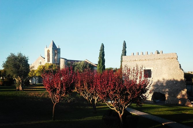 Figueira da Foz by rice paddies and salines, half-day from Coimbra - FAQ
