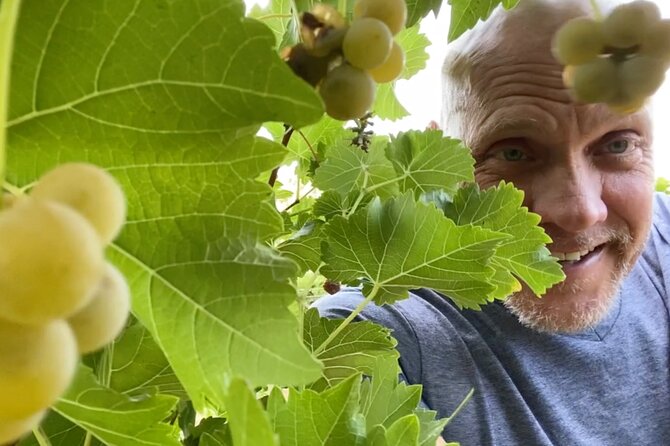 Five Star AZ Wine Crawler Tour 4- 12 PPL - Final Thoughts