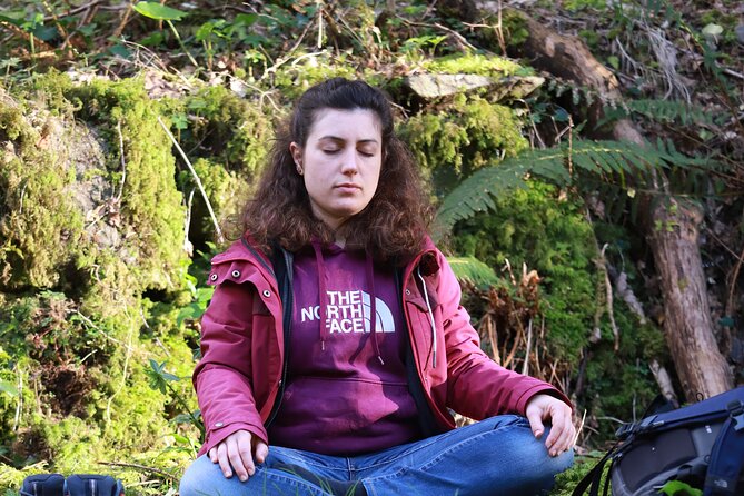 Forest Bathing in Tuscany with Wild Crafted Tea - Cost and Value