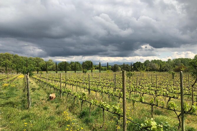 From Barcelona Wine Tasting in 2 Priorat Wineries and Food - Final Thoughts