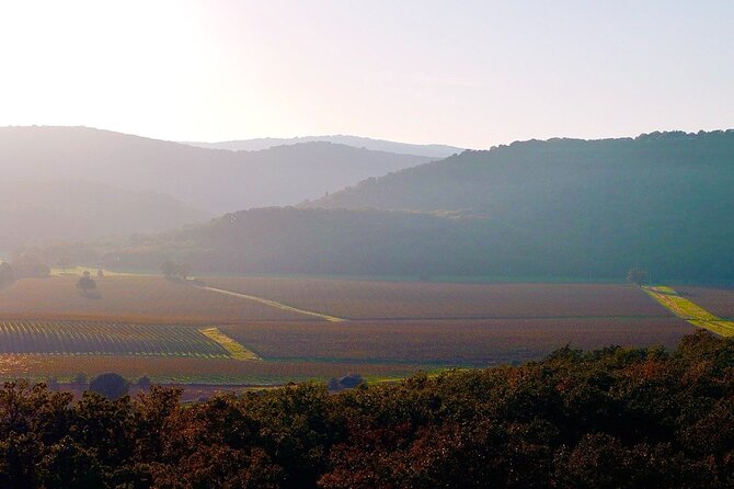 From Rome: Hidden Tuscany Day Trip with Lunch and Wine Tastings - Final Thoughts
