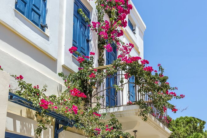 Full Day Butterflies and Boat Tour to Chalki Island - The Value of This Tour