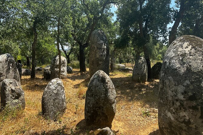 Full Day Megalithic Tour with Lunch Included - Practical Details & Experience Highlights
